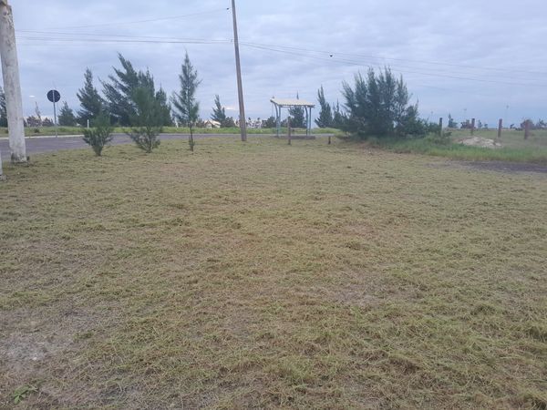 Durante esta semana, as equipes efetuaram a limpeza, capina e corte de grama das ruas e canteiros centrais do Bairro Jardim do Éden, na Zona Sul. 
